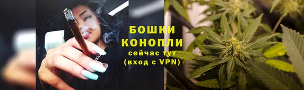 эйфоретик Баксан