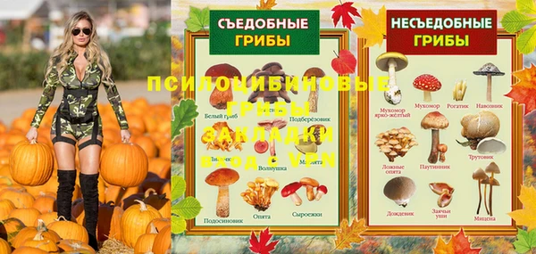 эйфоретик Баксан