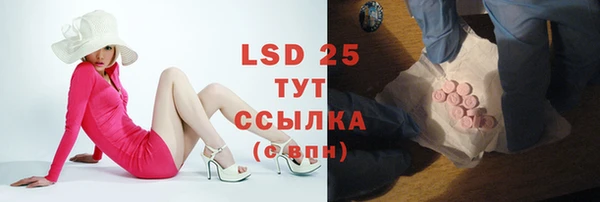 эйфоретик Баксан