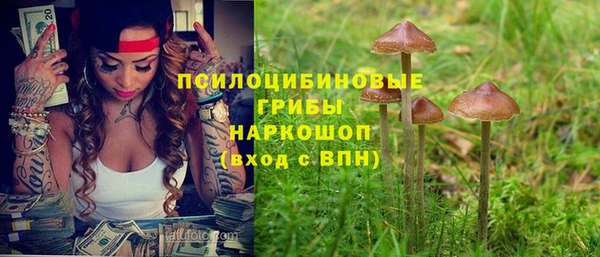 эйфоретик Баксан