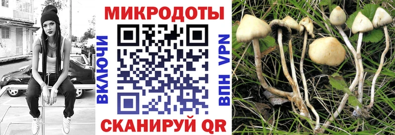 Галлюциногенные грибы ЛСД  Ленинск 